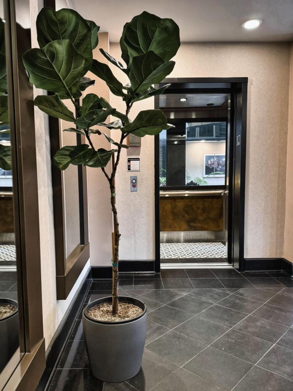 לינווד Hotel International מראה חיצוני תמונה